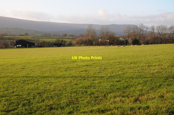 Photo 6"x4" View to the Black Mountains Lower Maes-coed c2011