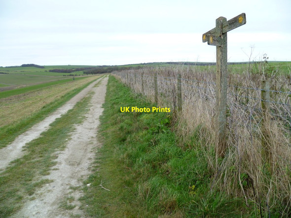 Photo 6"x4" Footpath northwards on Wepham Down seen from junction Burpham\/TQ0408 c2011