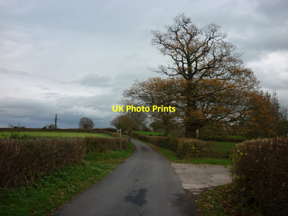 Photo 6"x4" A public footpath near Oakfield Farm Blakeney\/SO6606 c2011
