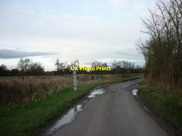 Photo 6"x4" Flood markers near Hall Farm Awre c2011