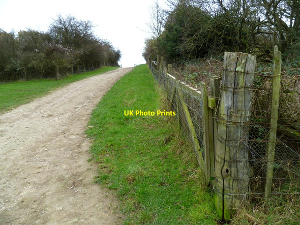Photo 6"x4" Bridleway goes through woodland on Barpham Hill Burpham\/TQ0408 c2011