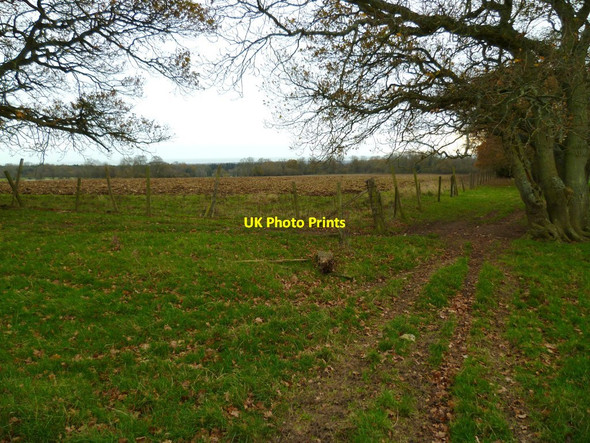 Photo 6"x4" Turning point on Barpham Hill Burpham\/TQ0408 c2011