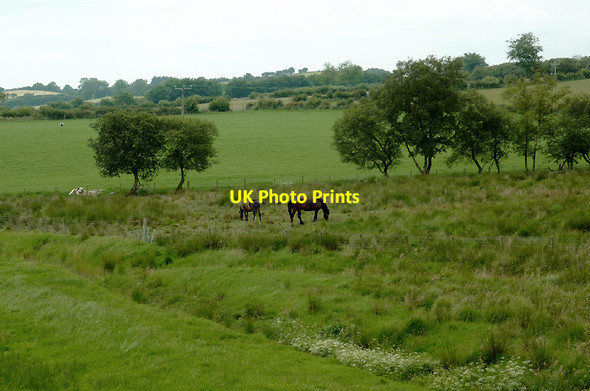 Photo 6"x4" Pasture near Ystradmeurig, Ceredigion Ystradmeurig c2011