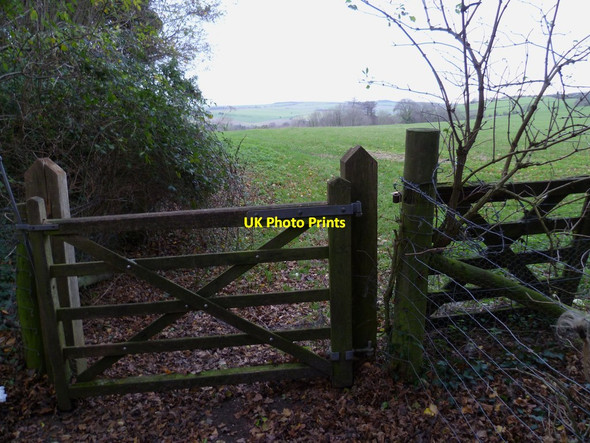 Photo 6"x4" Bridlegate to field on Warningcamp Hill Burpham\/TQ0408 c2011