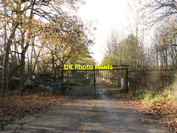 Photo 6"x4" Gated track to Elveden Forest Holiday Centre Elveden c2011