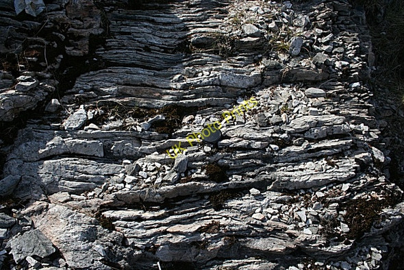 Photo 6"x4" Mylonite on Knockan Crag Knockan\/NC2110 c2008