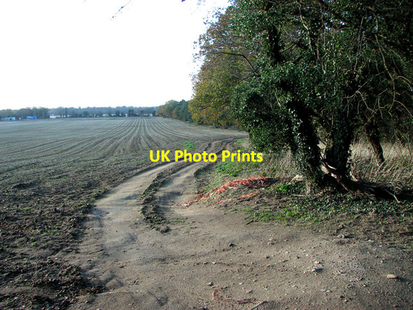 Photo 6"x4" Farm track along a field's edge by Woodside Lodge, Feltwell Hockwold cum Wilton c2011