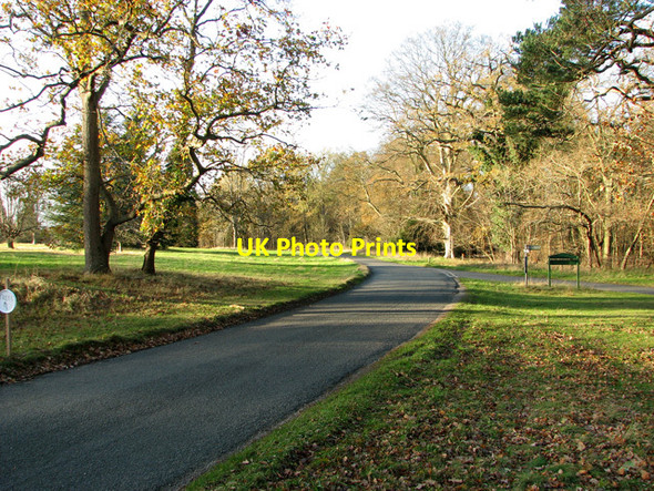 Photo 6"x4" The road through Santon Downham village Santon Downham c2011