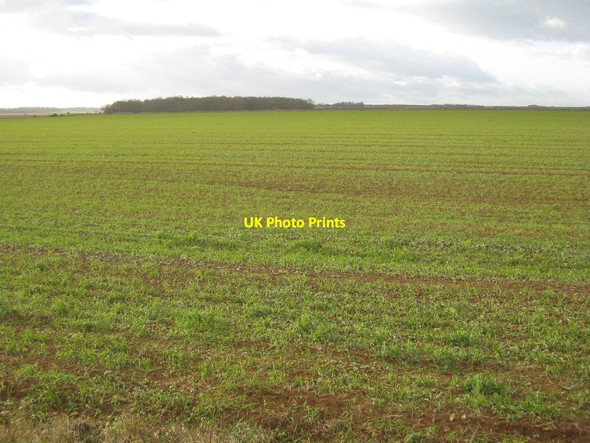 Photo 6"x4" View towards Moor Wood Cranwell c2011