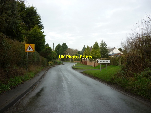 Photo 6"x4" Entering Ash Magna Ash Magna c2011