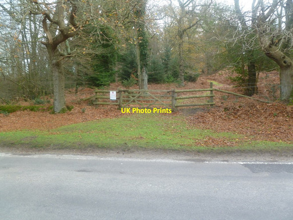 Photo 6"x4" Burley New Inclosure, gate Burley Lawn c2011