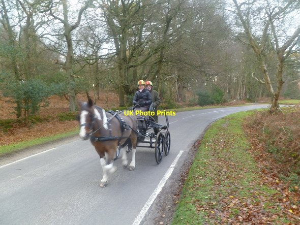 Photo 6"x4" Burley, carriage driving Burley Lawn c2011