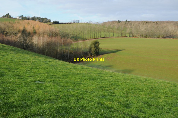 Photo 6"x4" Farmland near Trelleck Grange New Inn\/SO4800 c2011