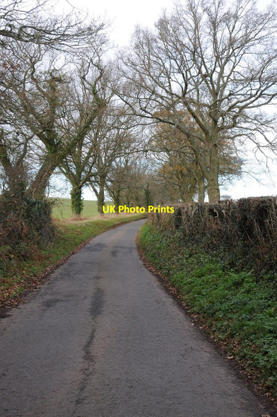 Photo 6"x4" Tree-lined country lane Parkhouse\/SO4902 c2011