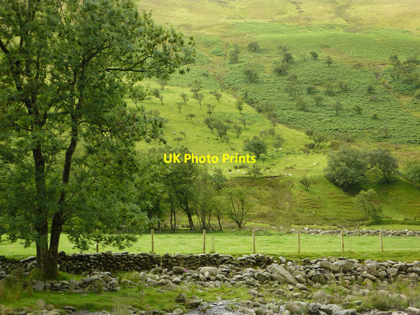 Photo 6"x4" View across the Ystwyth  from Tyllwyd Farm campsite Blaenycwm c2011