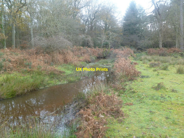 Photo 6"x4" Burley Old Inclosure, Black Water Burley Lawn c2011