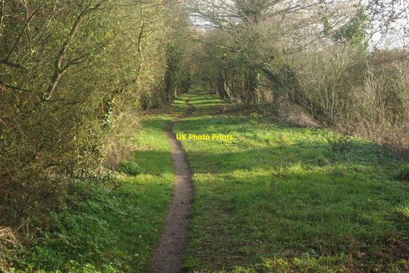 Photo 6"x4" Former railway towards Upton upon Severn Tunnel Hill\/SO8440 c2011