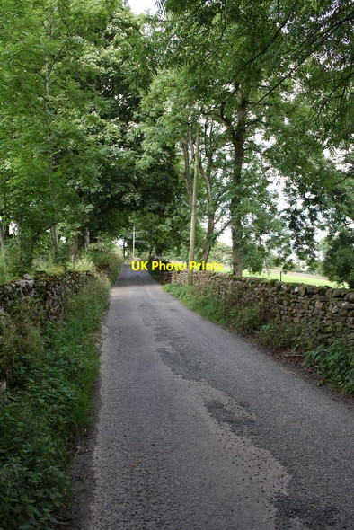 Photo 6"x4" Marsett Lane north of Carr End Farm Marsett c2011