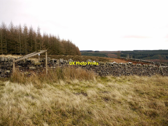 Photo 6"x4" Stile on footpath to Eastnook Elsdon\/NY9393 c2011