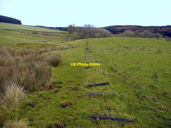 Photo 6"x4" Ruined fence west of Eastnook Elsdon\/NY9393 c2011