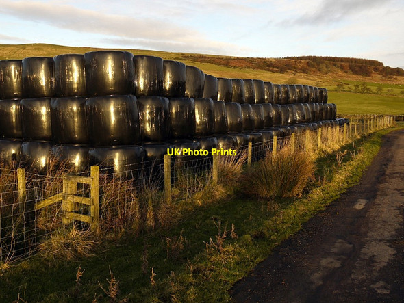 Photo 6"x4" Silage bales near Whiskershiel Farm Elsdon\/NY9393 c2011