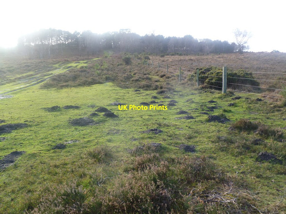 Photo 6"x4" Lugden Bottom, molehills North Ripley c2011
