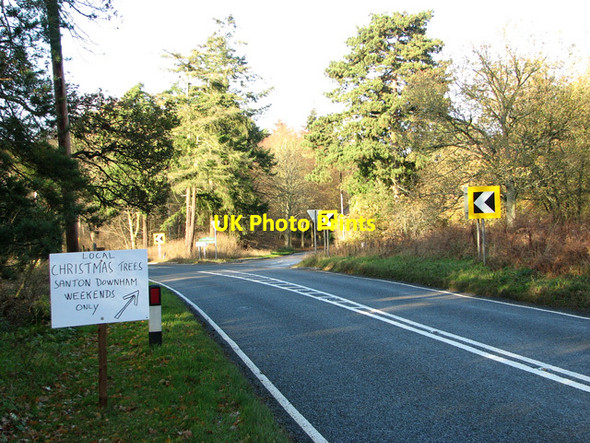 Photo 6"x4" The B1107 road from Thetford to Brandon, Santon Downham Santon Downham c2011