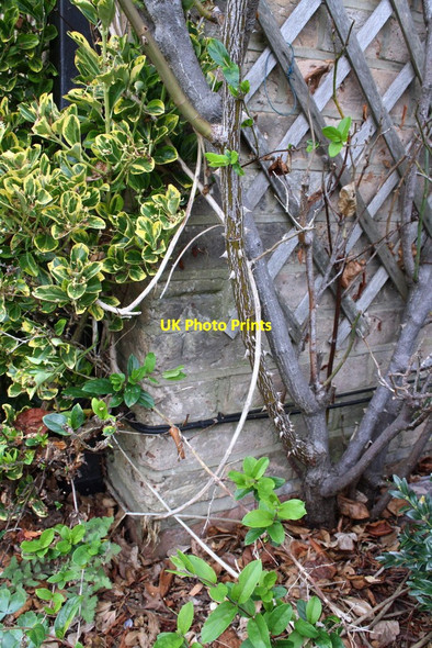 Photo 6"x4" Benchmark on #130 Lake Road Poole\/SZ0191 c2011