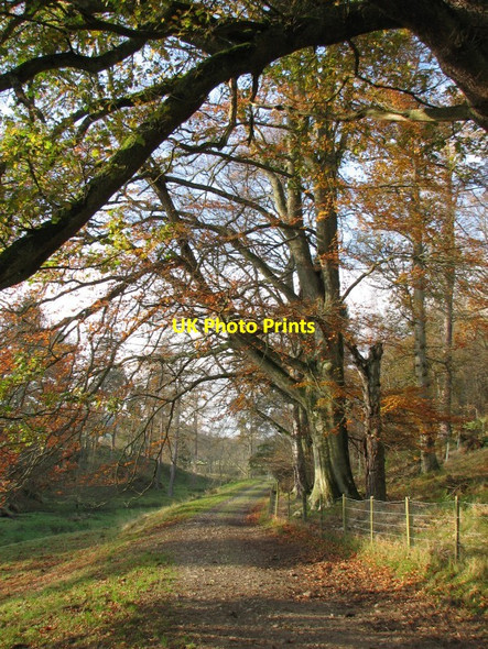 Photo 6"x4" Path by the Easton Burn Stobo c2011