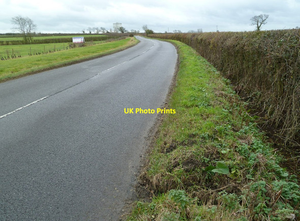 Photo 6"x4" Close to the hedge Mursley c2011