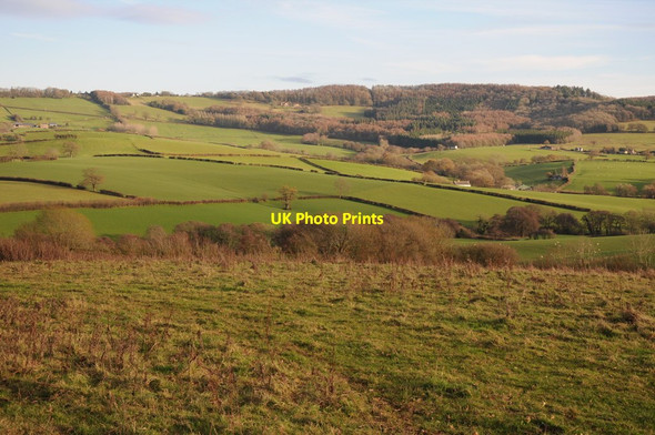 Photo 6"x4" Farmland at Wolvesnewton Wolvesnewton c2011
