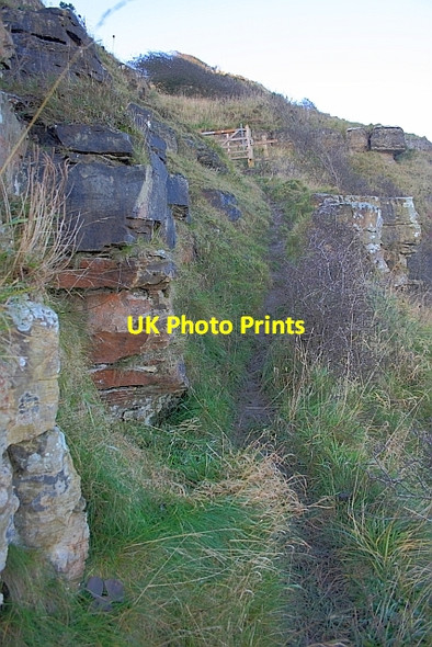 Photo 6"x4" Footpath to Ravenscar Ravenscar c2011