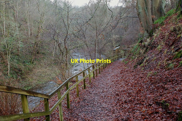 Photo 6"x4" Path to the gunpowder works, Roslin Glen Country Park Auchendinny c2011