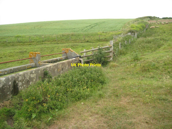 Photo 6"x4" Drinking trough and grazing land Kingston\/SX6347 c2011