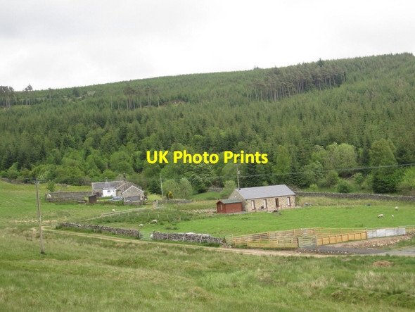 Photo 6"x4" Lightpipe Barn Lightpipe Kielder c2011