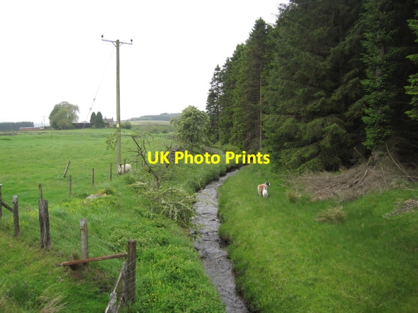 Photo 6"x4" Deadwater Burn below Kittyhirst Kielder c2011