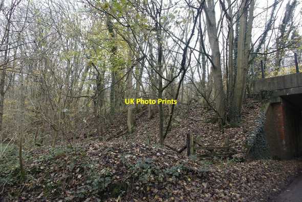 Photo 6"x4" Embankment by the bridge Eling\/SU5275 c2011