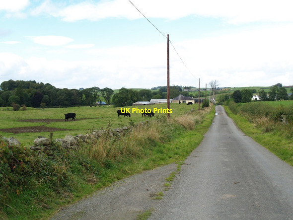Photo 6"x4" Farmland at Three Merkland farm Haugh of Urr c2010