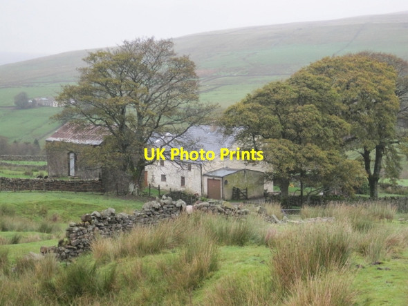 Photo 6"x4" Lee Houses Crossgill\/NY7440 c2011