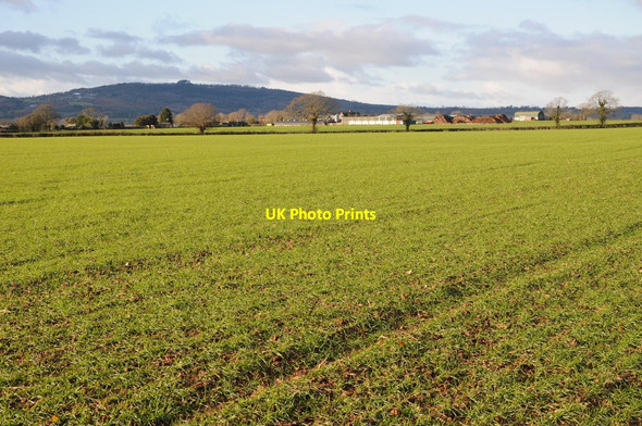 Photo 6"x4" Colliers End Farm Bulley c2011