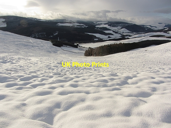 Photo 6"x4" Snow covered heather Holylee c2011
