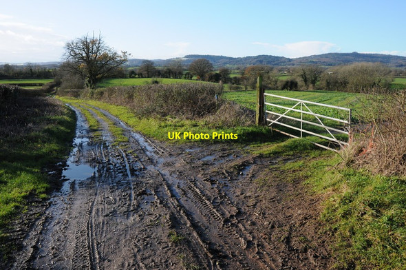 Photo 6"x4" Track near Colliers End Bulley c2011