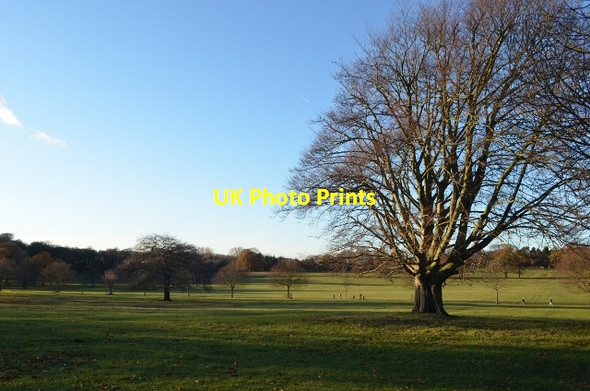Photo 6"x4" Wollaton Hall Country Park Stapleford\/SK5037 c2011