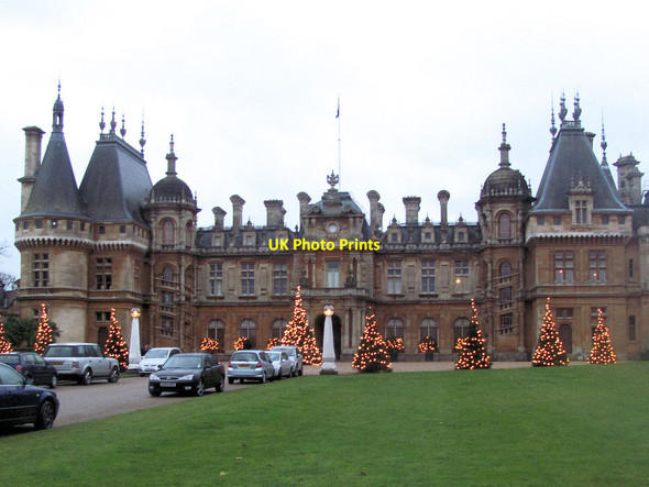 Photo 6"x4" Christmas Trees at Waddesdon Manor Waddesdon c2011