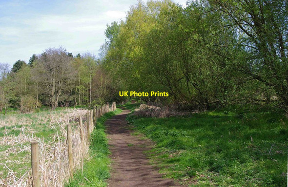 Photo 6"x4" Public footpath to Caunsall Cookley\/SO8480 c2011