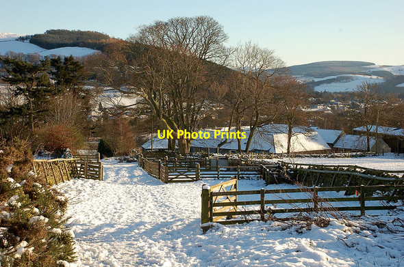Photo 6"x4" Standalane Farm, Peebles Peebles\/NT2540 c2011