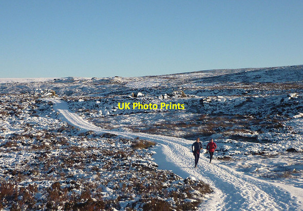 Photo 6"x4" Runners on the Clougha shooting track Hare Appletree c2011