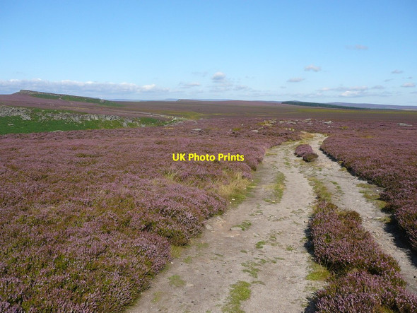 Photo 6"x4" Footpath above Burbage Rocks Ringinglow c2011