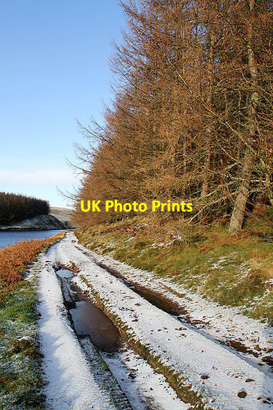 Photo 6"x4" An access track by Whiteadder Reservoir Gamelshiel Castle c2011