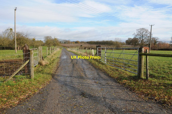 Photo 6"x4" Farm drive at Upper Breinton Upper Breinton c2011